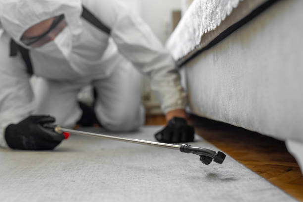 Professional Rodent Control technician working in Jemez Pueblo, NM