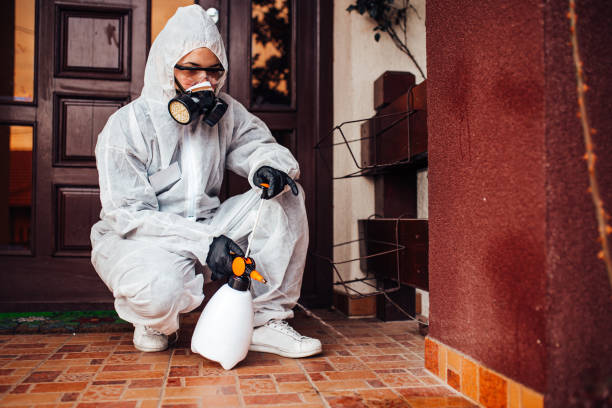 Reliable Rodent Control contractor in Jemez Pueblo, NM by Nex Pest Control
